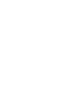 Trinnov logo